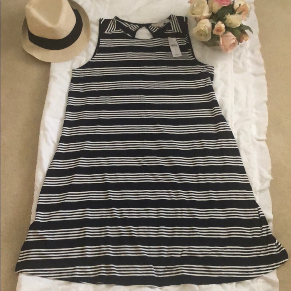 Ann Taylor Loft dress